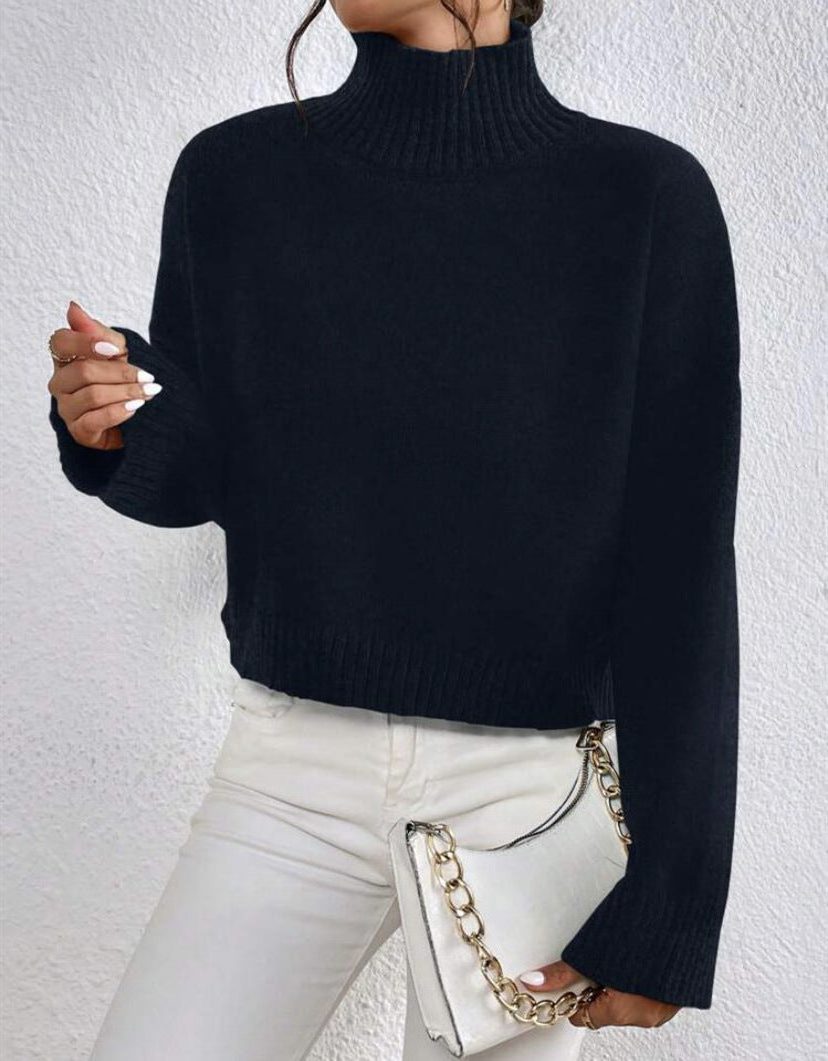 Ribbed Knit Cropped Roll Neck Jumper for Women - Black