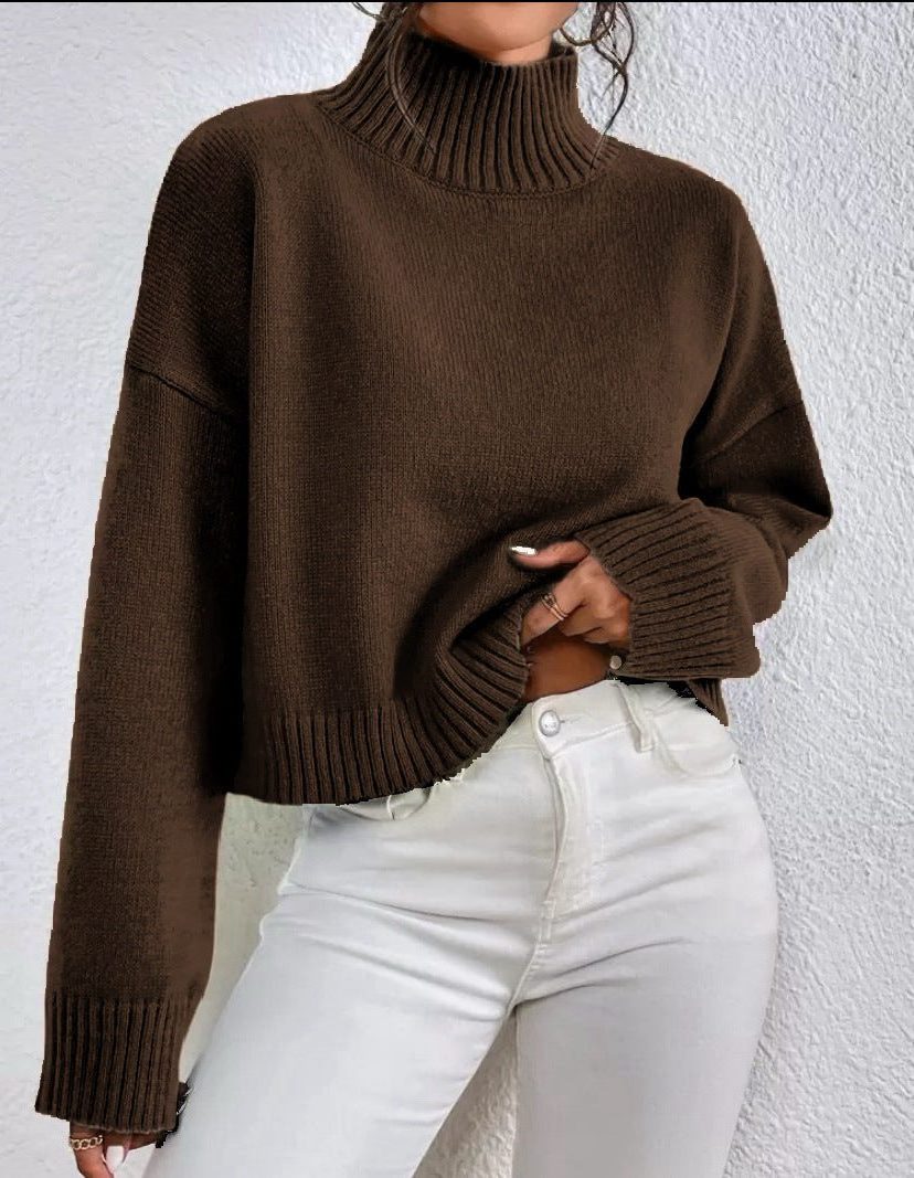 Ribbed Knit Cropped Roll Neck Jumper for Women - Brown